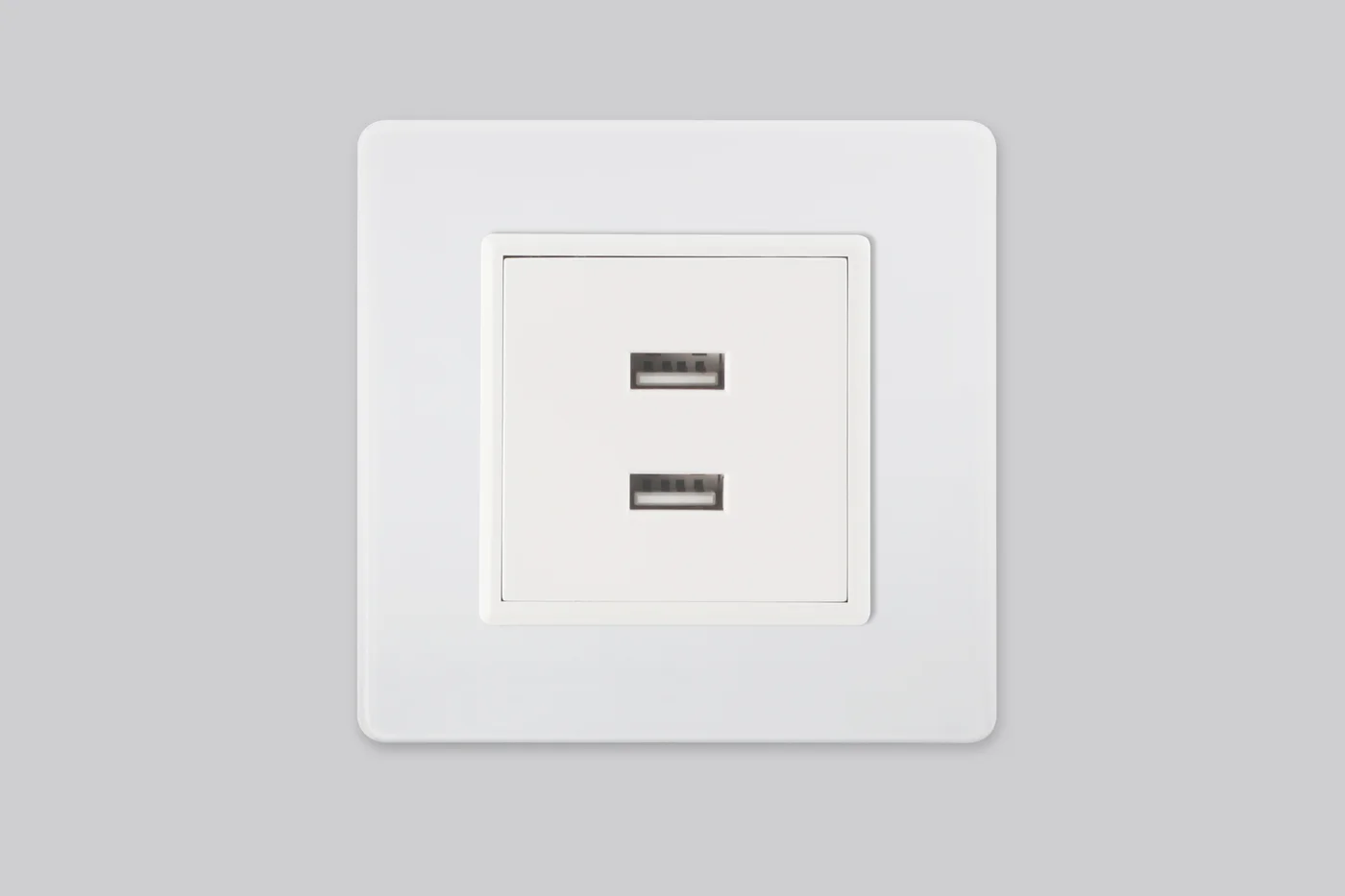 C8 80 系列双 USB 插座模块