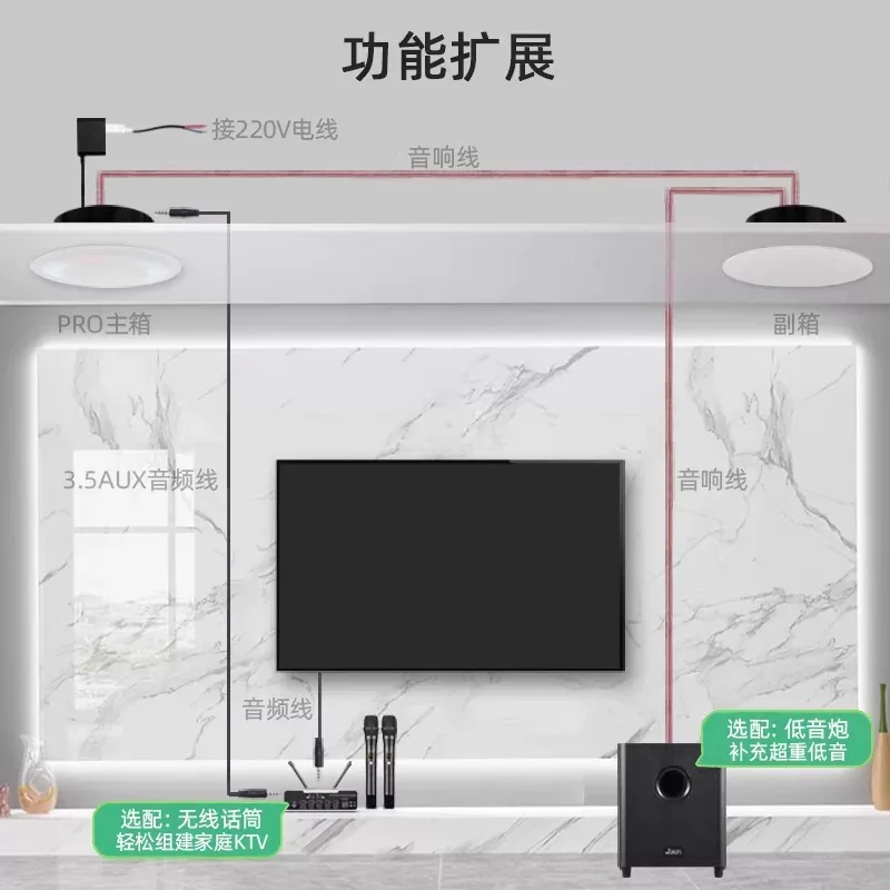 Pro Smart Ceiling Speaker · Image 5